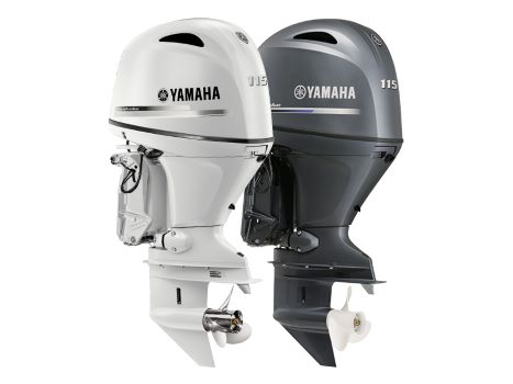 Twin Yamaha 115hp