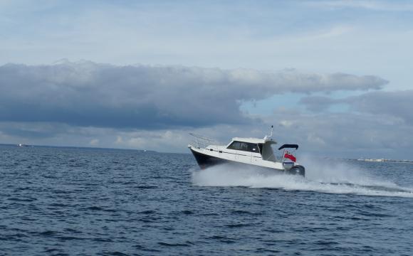 Pilothouse 25 Birdie