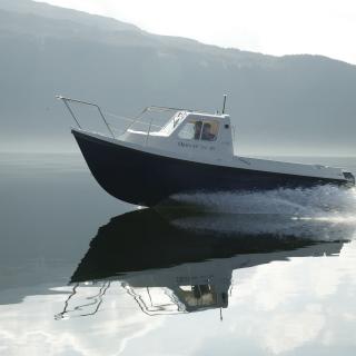 Dayangler 19+