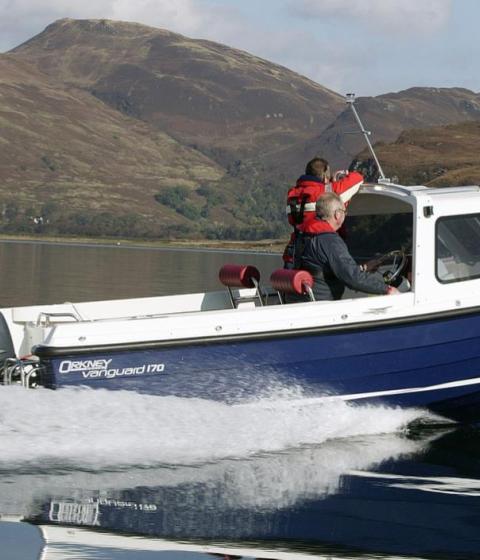 Orkney 522